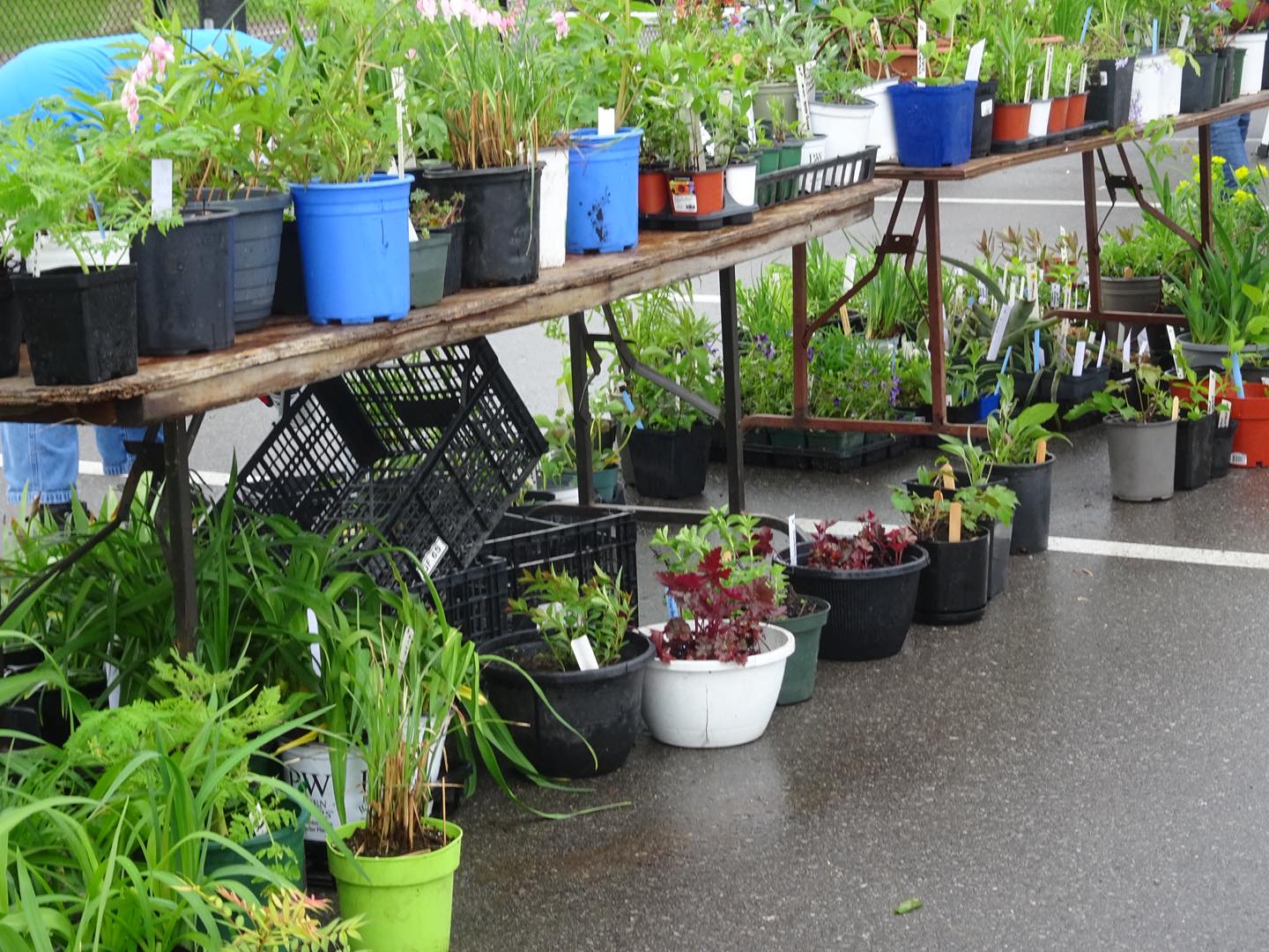 potting party