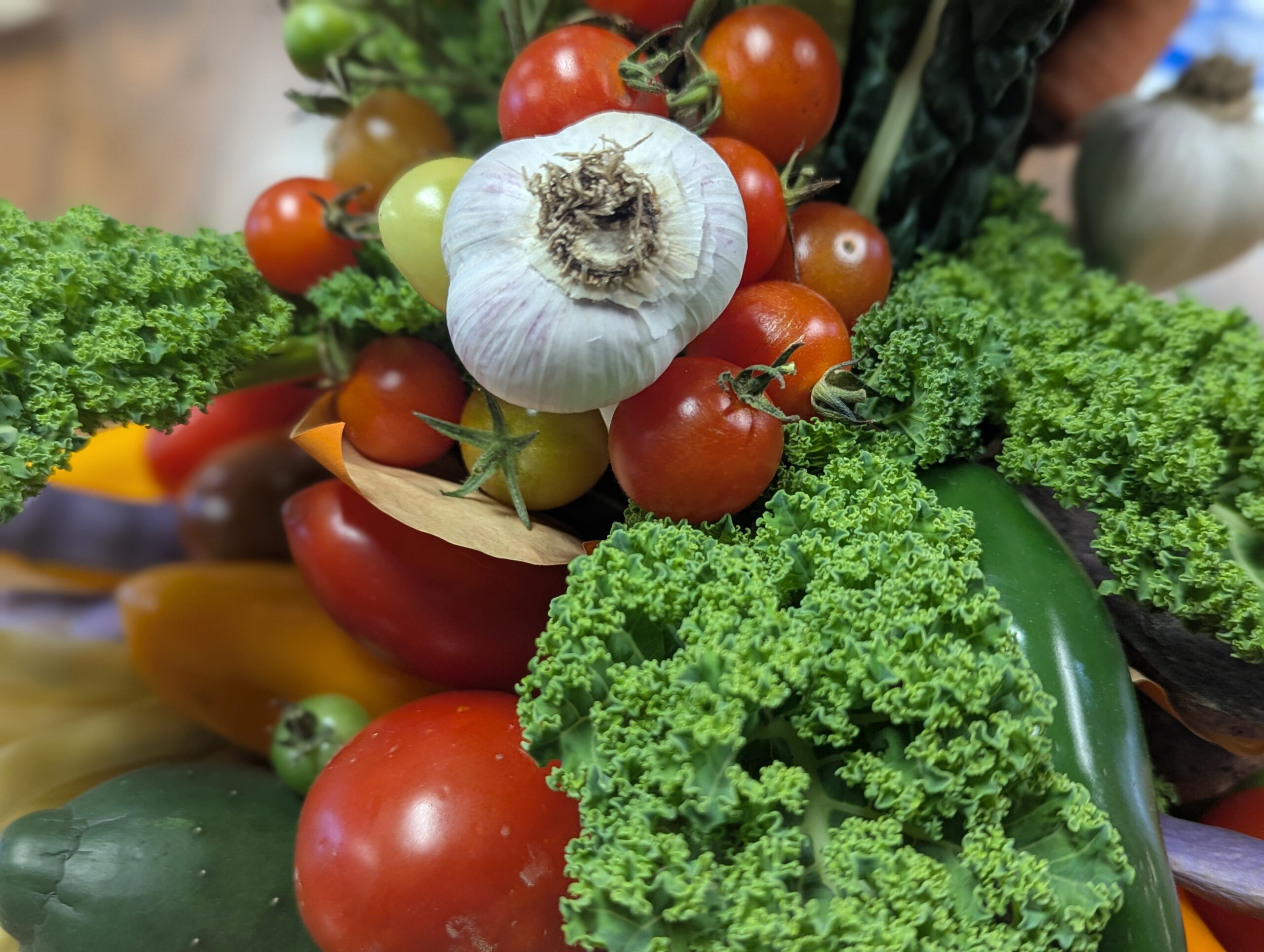 veggie 1