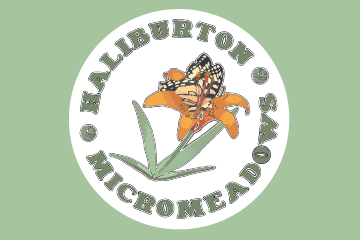 haliburton micro meadows 2